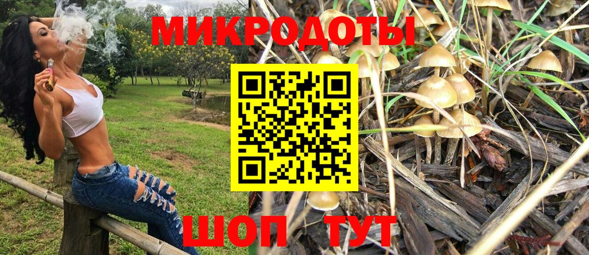 Псилоцибиновые грибы MAGIC MUSHROOMS  Вход с VPN  Гулькевичи 